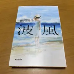 波風　　g28