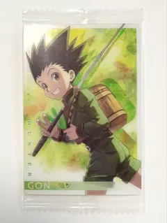 HUNTER×HUNTER ゴン　イタジャガ