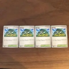 活力の森　4枚セット