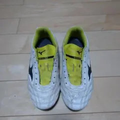 モナルシーダ ネオ スパイク 23.5 ミズノ