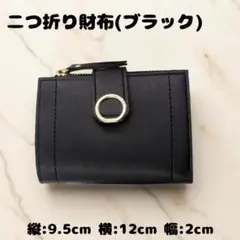 Item thumbnail for item 0d1a12a1-3589-46b0-aa8a-5639bb0e7b2a