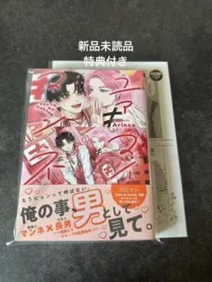 【新品未読品】ユアマイマンネ Arinco 特典ペーパー付き