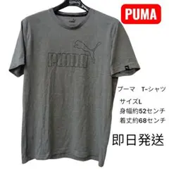 PUMA Tシャツ Lサイズ グレー