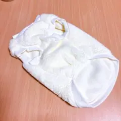 Item thumbnail for item 4ef052ef-c242-497c-a418-5b30b5e23b83