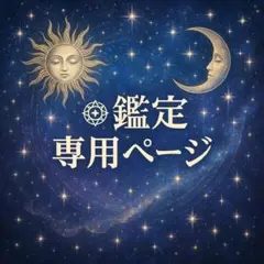 A様　専用