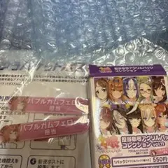 バブルガムフェロー　担当アクリルバッジ　２個