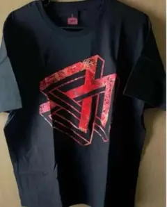 BABYMETAL 公式Tシャツ Lサイズ 最終値下げ さくら学院