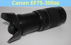 Item thumbnail for item 331df8cb-4392-455b-84dc-13daf844174e