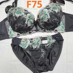 【新品未使用】格安！ブラショーツセット F75 942401 グレー フェミニン