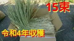 3R【折曲げ梱包:藁16束】鹿児島産、稲わら、わら、しめ縄、稲藁、もち米藁