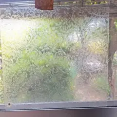 14番 結霜板硝子　膠板硝子