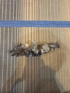 石 溶岩 約20cm 天然