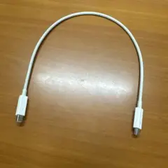 【純正】 apple Thunderbolt2 ケーブル 0.50M