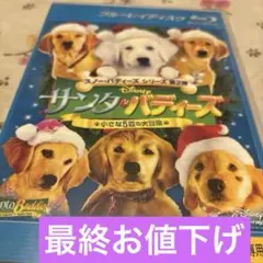 Item thumbnail for item 63ce3428-6106-49a1-b22b-5f24a754087b