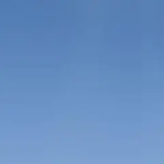 バナナ様