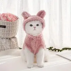 Item thumbnail for item adcc9347-bdba-47fe-9326-f5e9019814bd