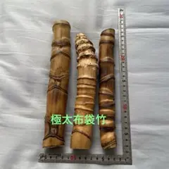 Item thumbnail for item 66196c11-2e7a-4bf2-b40a-8403c93264e7