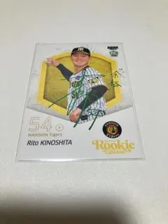 Item thumbnail for item da6b40ff-fa3c-4314-b34b-4a659c6d1a8a