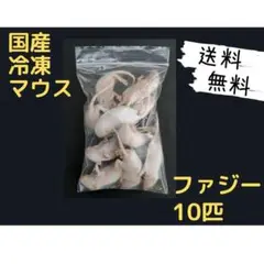 Item thumbnail for item 5736b2d1-a4c5-4060-8279-510ba76056b7