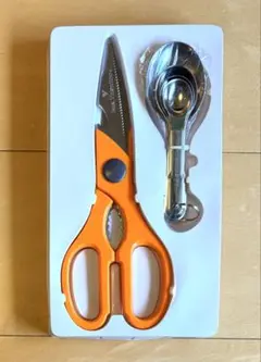 Item thumbnail for item 861871aa-67b0-4e1d-924d-ce2d71f531f2