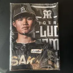 B-LUCK ヴィジュアルフェイスタオル　森下選手　森下翔太