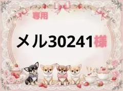 専用