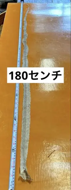 Item thumbnail for item 4f1e6c3d-d49b-472f-860b-666d52b11b69