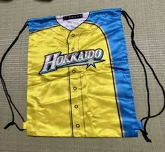 大谷翔平さんの巾着 兼 ナップザック ギンギラ
