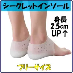 インソール シリコン シークレットインソール 2.5cm 男女兼用 厚底 08