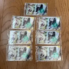 イタジャガ ワンピース LOG3 ブルック 7枚