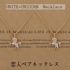 日本未発売【スイス産】Lifistaria【ユニコーンモチーフ】ペアネックレス