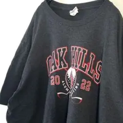 ポート&カンパニー オーク ヒルズ Tシャツ 2XL グレー 灰色 古着