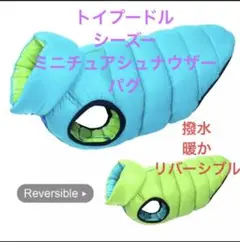Item thumbnail for item b3fbc9c8-888a-4692-afe3-a60bc5a12ca9