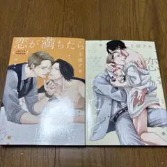 上田アキ 恋が落ちたら 恋が満ちたら 2冊セット