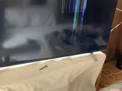 Item thumbnail for item cb0d9685-db51-4b73-ab57-a9874b8fbd6d