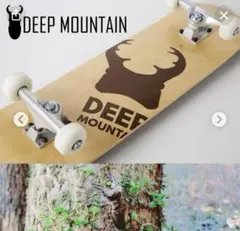 《新品》DEEP MOUNTAINコンプリート7.75×31.25 #4 NT