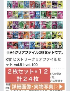 ワンピース 一番くじ クリアファイル まとめ売り
