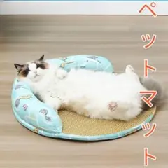 Item thumbnail for item 2a3bf8ea-045b-4c9c-bae8-0570ca05cd75