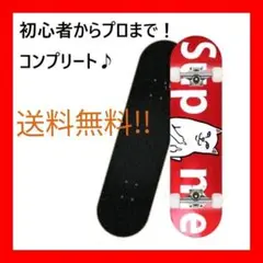 送料無料! スケートボード 31インチ スケボー ABEC9ベアリング採用 くま