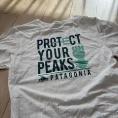Patagonia パタゴニア Protect Your Peaks TシャツM