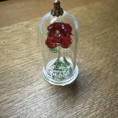 美女と野獣　ガラスドーム