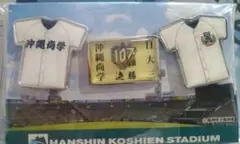 甲子園　決勝戦限定バッジ