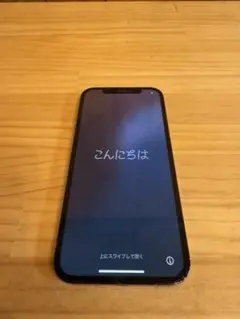 Apple iPhone12Pro 256GB SIMフリー