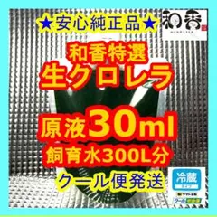 【クール便】和香特選生クロレラ原液30ml めだか金魚稚魚ミジンコPSBAD