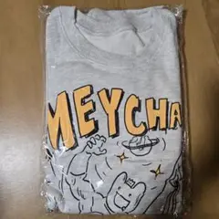 Item thumbnail for item 6d19d57c-8235-4df3-879d-37ec86776884