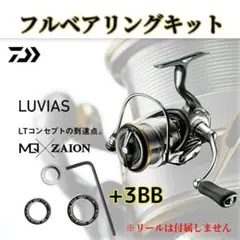 20ルビアスLT フルベアリングキット MAX12BB 注油サービス