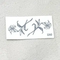 Item thumbnail for item aed80b6c-0017-4498-95f8-55eaebf6ed98