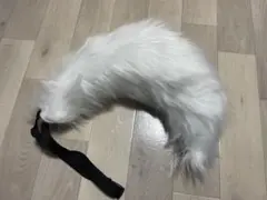 Item thumbnail for item 00987583-c340-49a0-9f7a-67f9082dee16