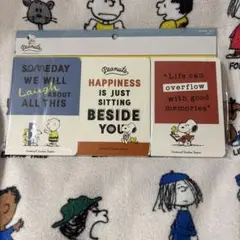 PEANUTSスヌーピー ユニバ限定 メモパットセット