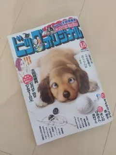 ビッグコミック オリジナル　最新号